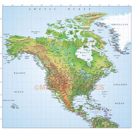 Buy North America Medium Relief map in Illustrator CS format Online